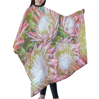 Personality  King Protea Hair Cutting Cape
