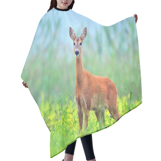 Personality  Wild Roe Deer Hair Cutting Cape
