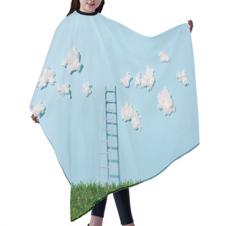 Personality  Small Ladder Standing On Green Grass And Blue Sky With Clouds Hair Cutting Cape