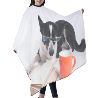 Personality  Mixed Breed Dog Reading A Book Hair Cutting Cape