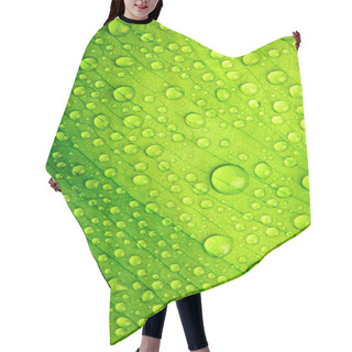 Personality  Beautiful Green Leaf With Drops Of Water Hair Cutting Cape