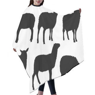Personality  Sheep Lamb Silhouette Vector Set Hair Cutting Cape