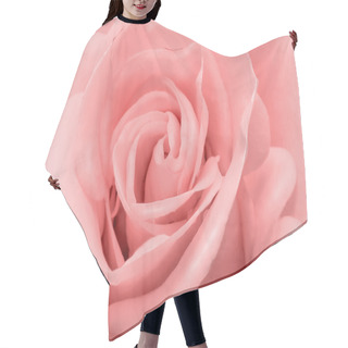 Personality  The Beautiful Rose Flower Delicate Light Pink Color Closeup.. Hair Cutting Cape