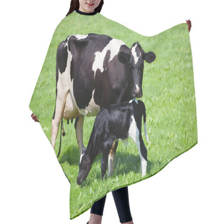 Personality  Cow With Newborn Calf Hair Cutting Cape