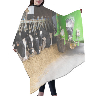 Personality  Cows In Stable Eating With Green Feed Tanker Hair Cutting Cape