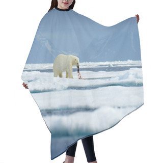 Personality  Dangerous Bear Sitting On The Ice, Beautiful Blue Sky. Polar Bear On Drift Ice Edge With Snow And Water In Norway Sea. White Animal In The Nature Habitat, Europe. Wildlife Scene From Nature.  Hair Cutting Cape