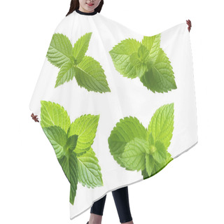 Personality  Fresh Paper Mint Leaf Isolated White Background Hair Cutting Cape