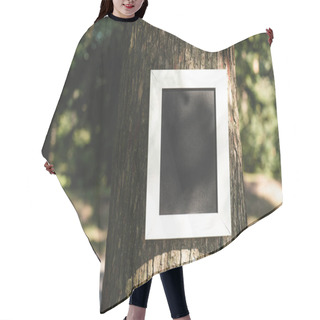 Personality  Empty Board In Frame On Grey Bark Of Tree In Park Hair Cutting Cape