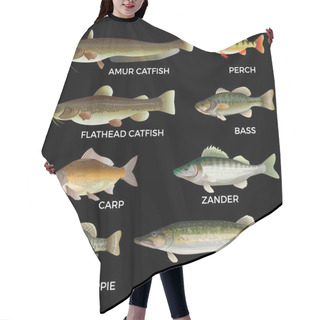 Personality  Freshwater Fish Species Hair Cutting Cape