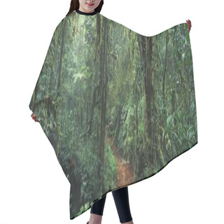 Personality  Picturesque African Jungle Hair Cutting Cape