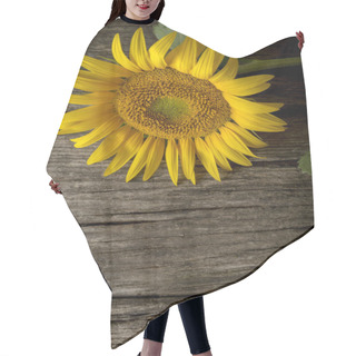 Personality  Mammoth Sunflower Seed Flower Head With Copy Space Hair Cutting Cape