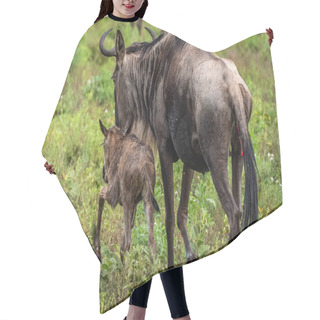 Personality  Wildebeest Migrate Between Tanzania And Kenya Annualy. Hair Cutting Cape