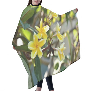 Personality  Colorful Flowers In Green Garden Hair Cutting Cape