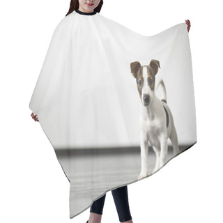 Personality  Watch Dog Hair Cutting Cape