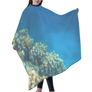 Personality  Beautiful Coral Reef Hair Cutting Cape