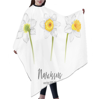 Personality  Vector Daffodil, Narcissus Flower Set Hair Cutting Cape