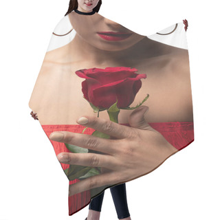 Personality  Cropped View Of Sensual Tango Dancer Holding Red Rose Isolated On White Hair Cutting Cape