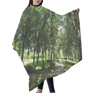 Personality  Sunlight On Path With Shadows From Trees And Bushes In Park  Hair Cutting Cape
