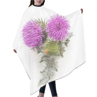 Personality  Beautiful Flowering Thistles Isolated On A White Background. Hair Cutting Cape