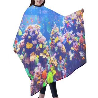 Personality  Coral Reef And Tropical Fish Hair Cutting Cape
