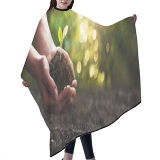 Personality  Plant In Hands. Ecology Concept. Nature Background Hair Cutting Cape