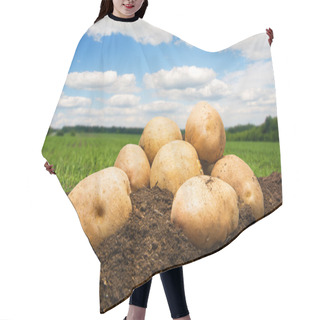 Personality  Potatoes On The Ground Under Sky Hair Cutting Cape