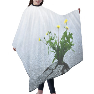Personality  Bright Hope Of Life Hair Cutting Cape