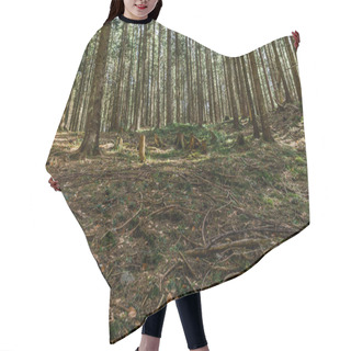 Personality  Wooden Branches On Meadow In Spruce Forest  Hair Cutting Cape