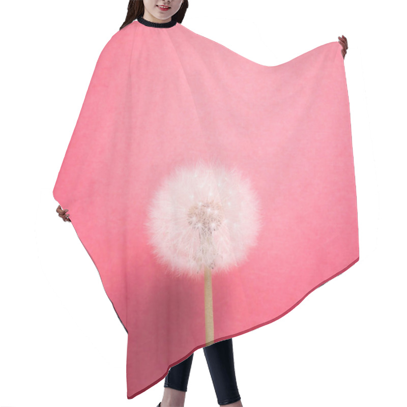 Personality  Dandelion Flower On Pink Background Hair Cutting Cape