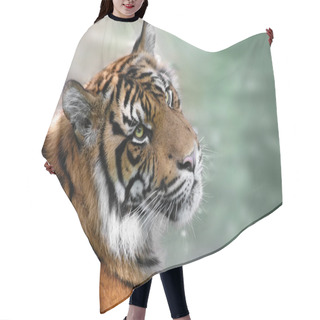 Personality  Tiger Hair Cutting Cape