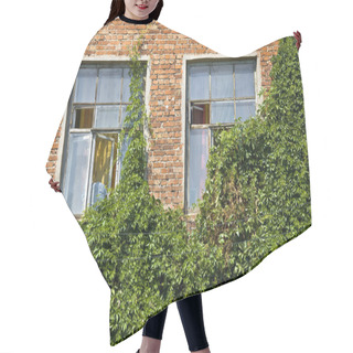 Personality  Windows In Old Brick Wall. Hair Cutting Cape