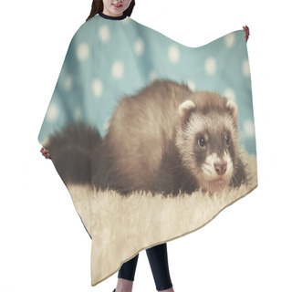Personality  Nice Ferret Baby Hair Cutting Cape