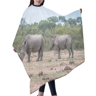 Personality  Two White Rhinos Standing In The Dirt. Hair Cutting Cape