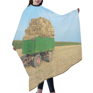 Personality  Hayride Hair Cutting Cape