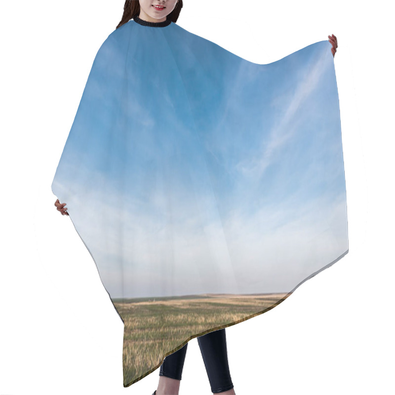 Personality  grassy lawn against blue sky with clouds hair cutting cape