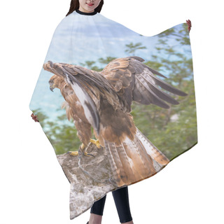 Personality  Hawk Hair Cutting Cape