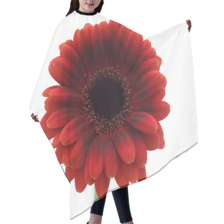 Personality  Gerber Flower Hair Cutting Cape