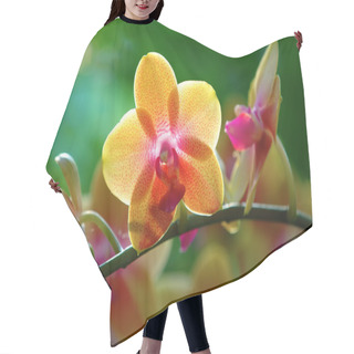 Personality  Yellow Orchid Hair Cutting Cape