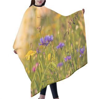 Personality  Blooming Thistles In The Meadow. The Flowers Are Blue, The Background Is Green Grass. Hair Cutting Cape