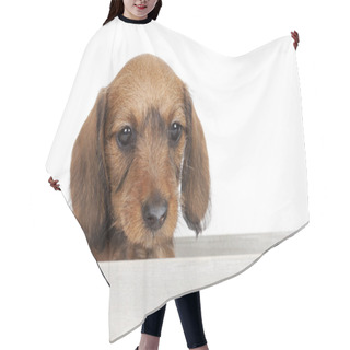 Personality  Puppy Sitting In A Wooden Box Hair Cutting Cape