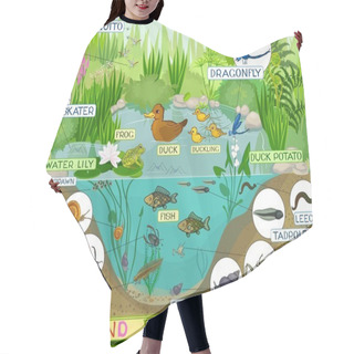 Personality  Ecosystem Of Duck Pond Hair Cutting Cape