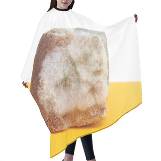 Personality  Moldy Bread Hair Cutting Cape
