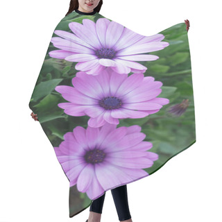 Personality  Purple Daisy-like Flowers, Fresh Spring Beauty Hair Cutting Cape