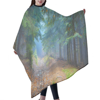 Personality  Misty Carpathian Forest Hair Cutting Cape