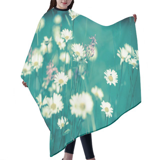 Personality  Daisy Flowers With Beautiful Colors Hair Cutting Cape