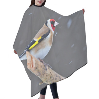 Personality  Goldfinch Hair Cutting Cape