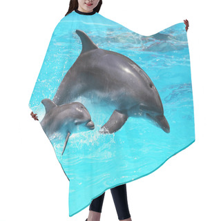 Personality  Dolphin With A Baby Floating In The Water Hair Cutting Cape