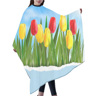 Personality  Nature Backgroundwith Spring Flowers And Ripped Paper Vector Illustration Hair Cutting Cape