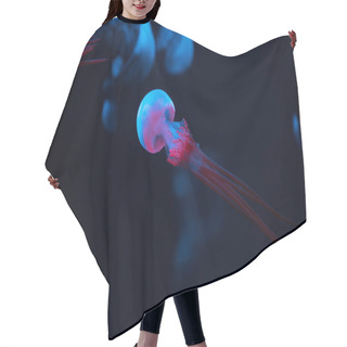 Personality  Selective Focus Of Jellyfishes With Pink And Blue Neon Lights On Dark Background Hair Cutting Cape