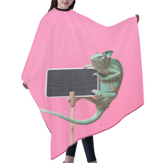 Personality  Tropical Chameleon Crawling On Blank Board Isolated On Pink Hair Cutting Cape